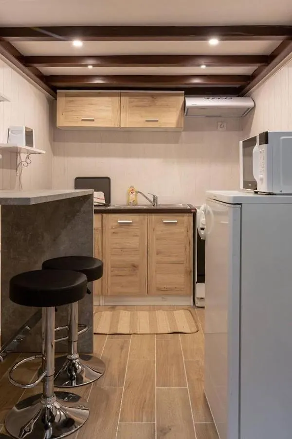 公寓 Stylish Loft Flat In The Heart Of 布达佩斯 匈牙利